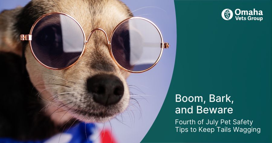 Boom, Bark, and Beware