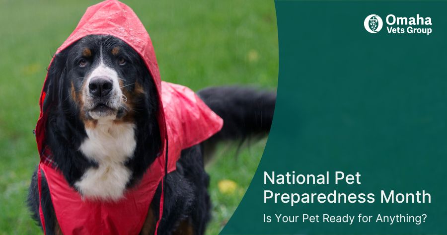 National Pet Preparedness Month