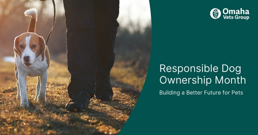 Responsible Dog Ownership Month