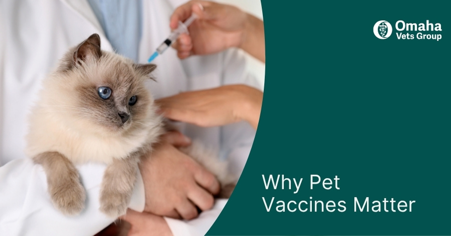 Why Pet Vaccines Matter