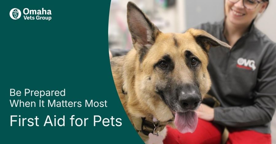 First Aid for Pets