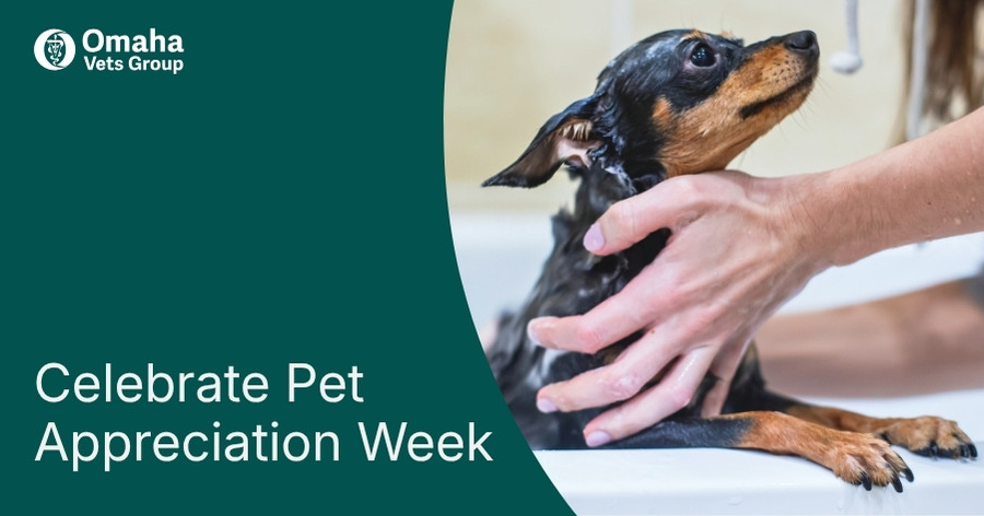 Celebrate Pet Appreciation Week