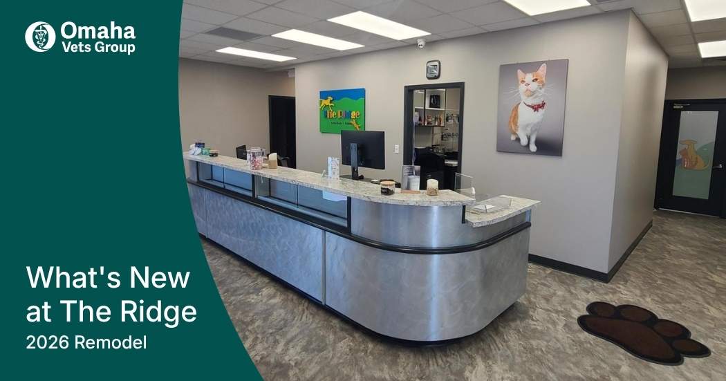 The Ridge Veterinary Clinic's Remodel is Complete