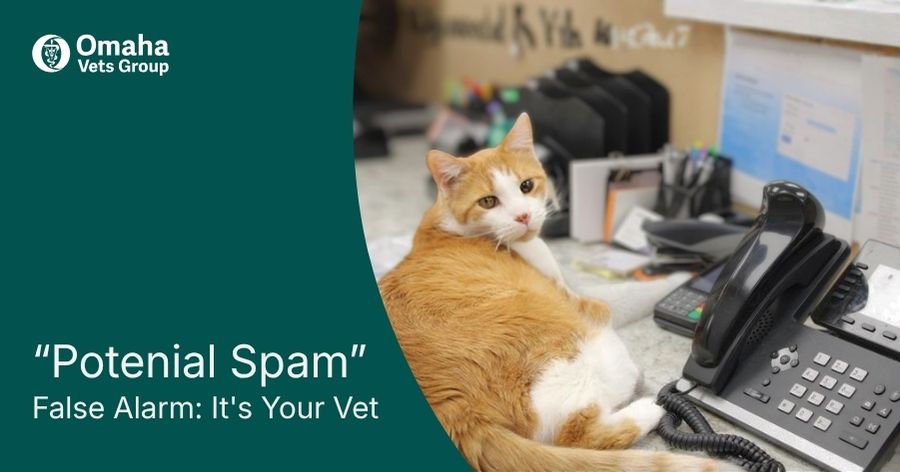 PSA: Why Our Calls May Show as “Potential Spam”