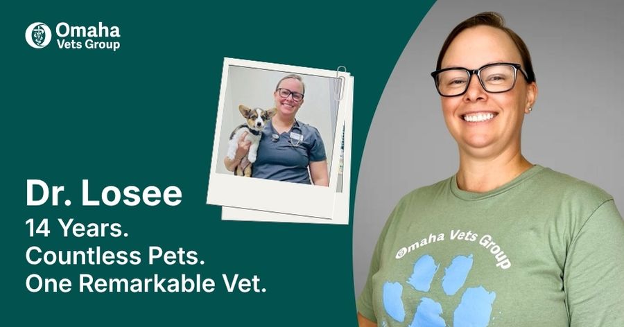 Thank You, Dr. Losee: 14 Years of Caring for Our Community's Pets