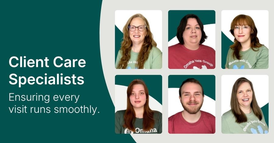 Celebrating our Client Care Specialists