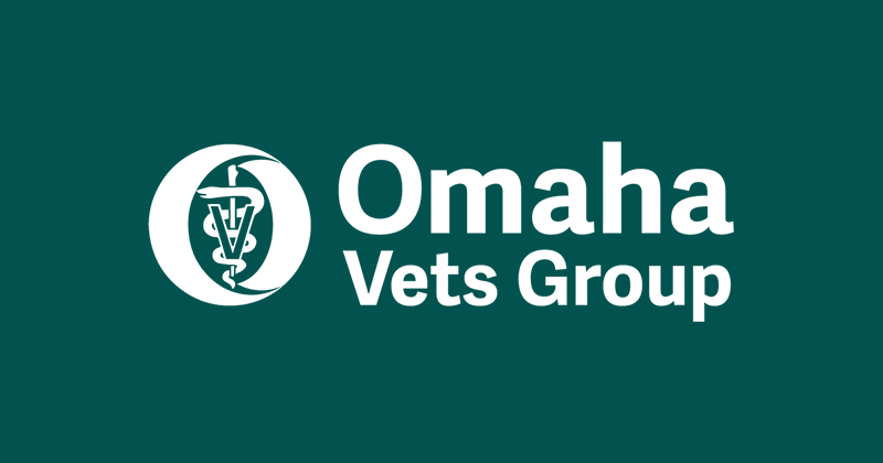 Six Omaha-Based Veterinary Clinics Create the Omaha Vets Group Network