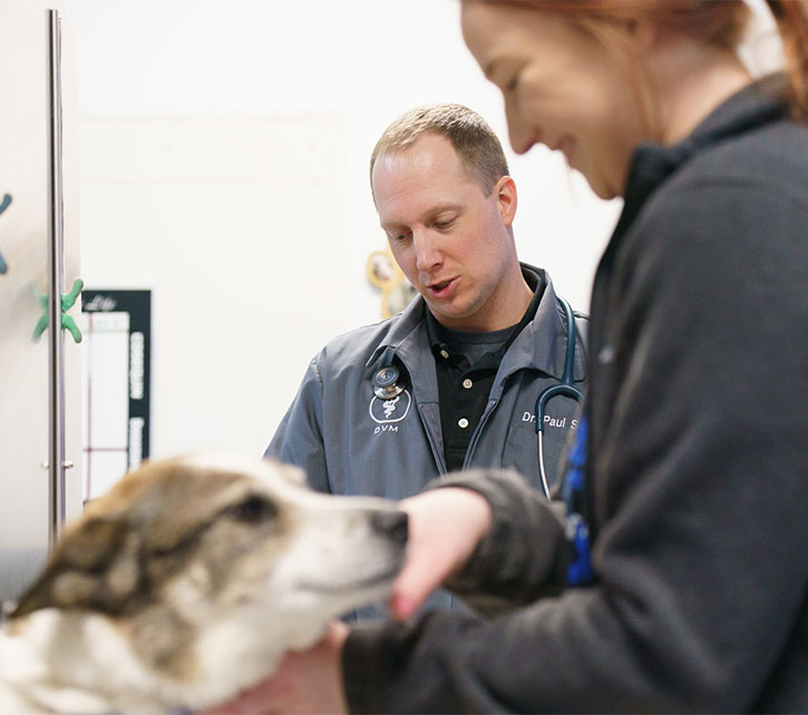 Ridgeview Animal Hospital, Omaha