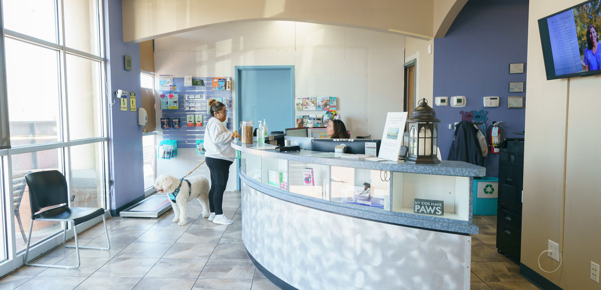 Ridgeview Animal Hospital - Lobby