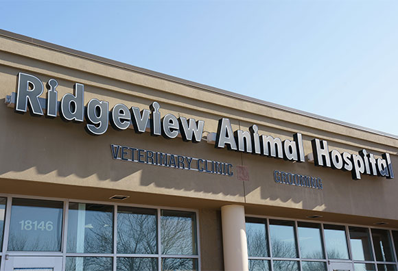 Ridgeview Animal Hospital