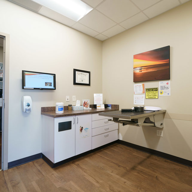 Skyline Veterinary Clinic - Exam Room