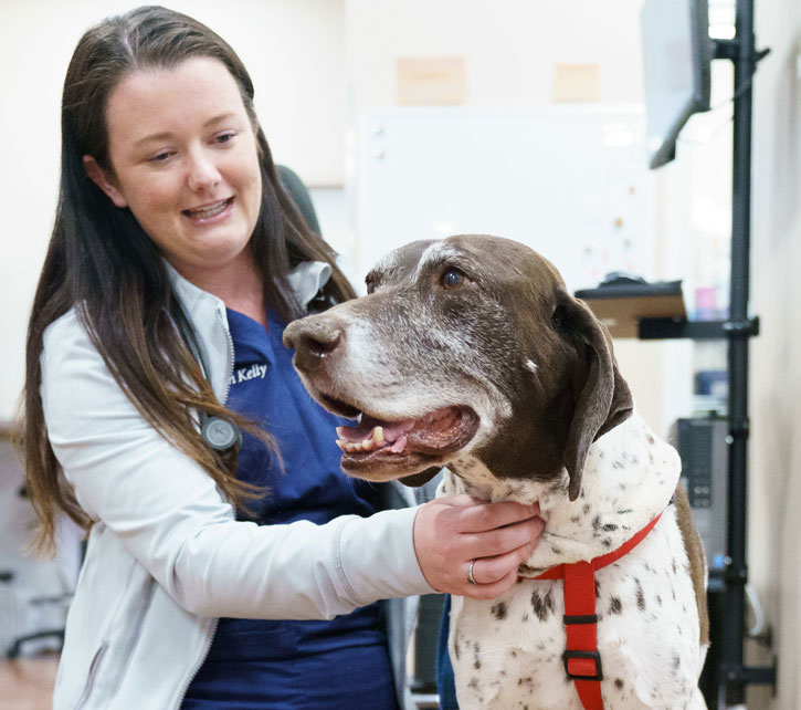 Skyline Veterinary Clinic, Elkhorn