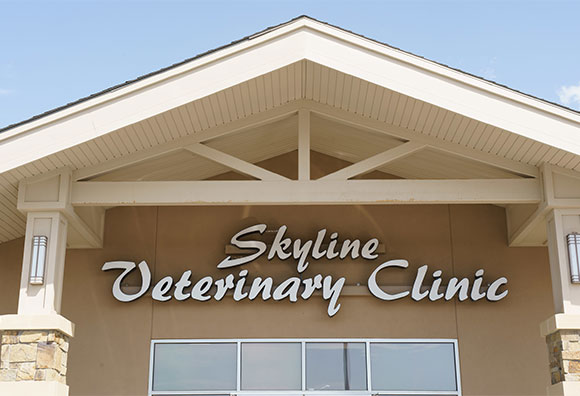 Skyline Veterinary Clinic