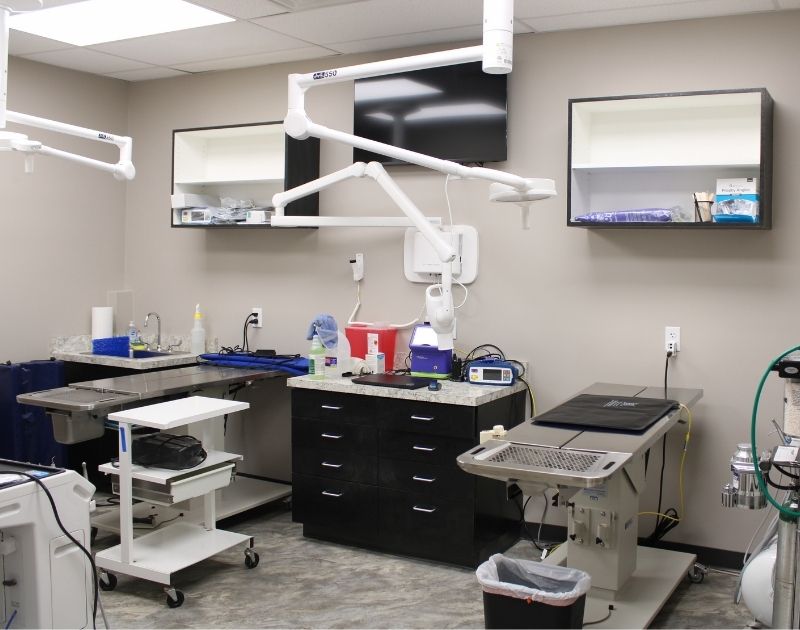 The Ridge Veterinary Clinic Dental Suite
