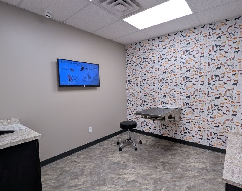 The Ridge Veterinary Clinic Exam Room