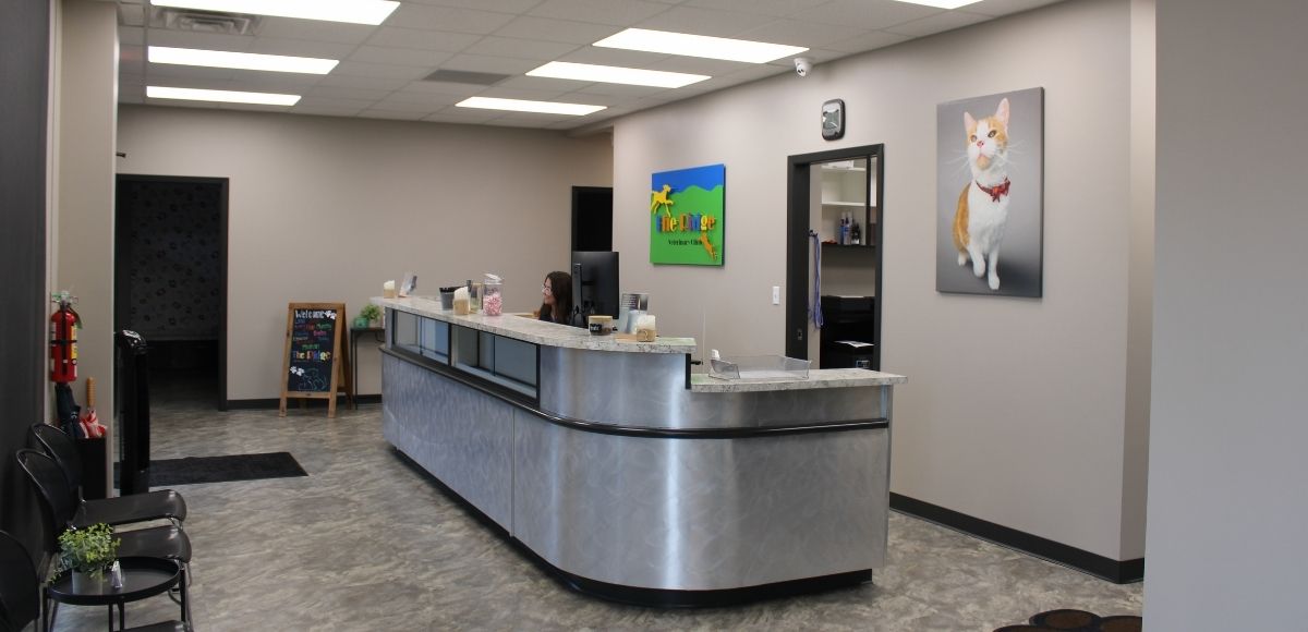 Omaha Veterinary - Lobby