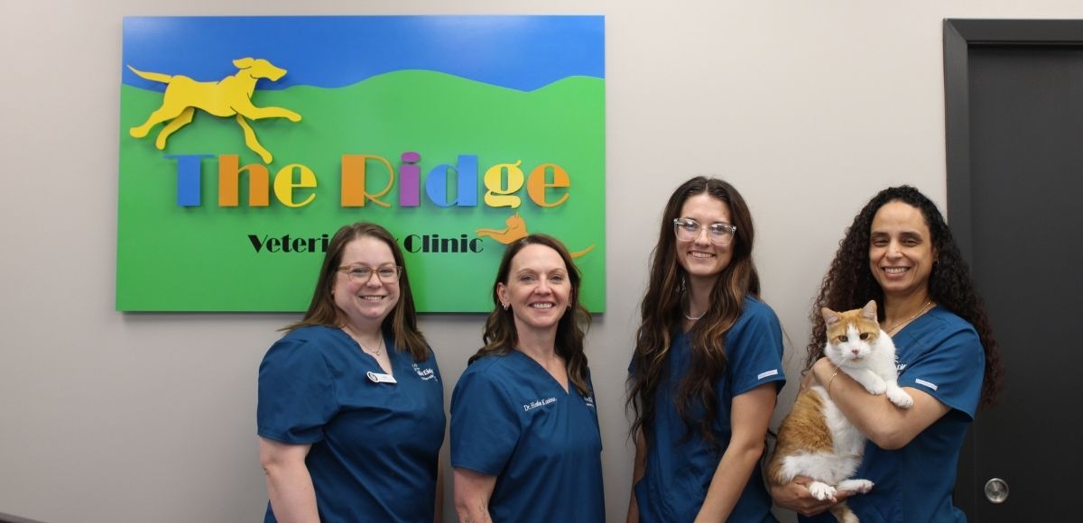 The Ridge Veterinary Clinic - Team