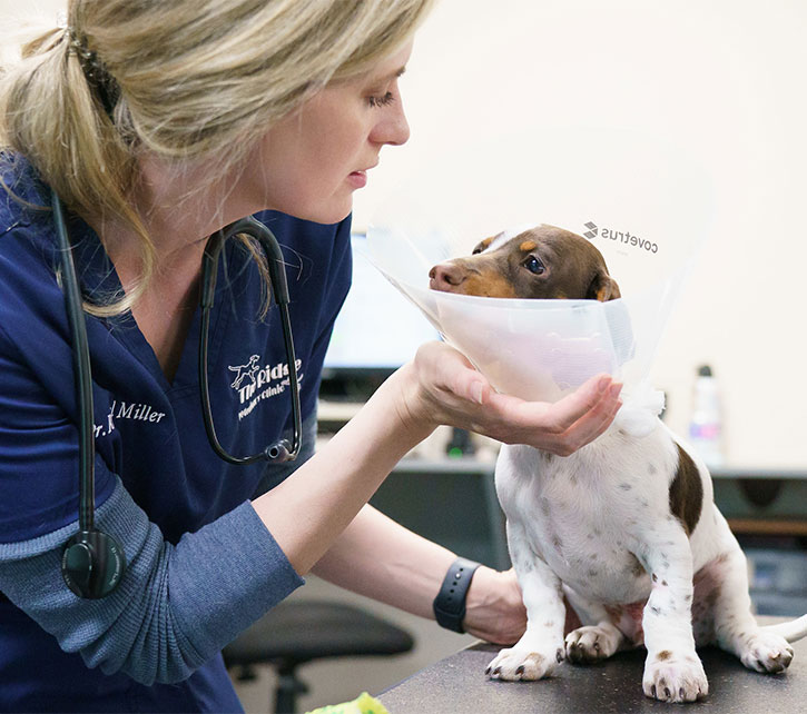 The Ridge Veterinary Clinic, Omaha