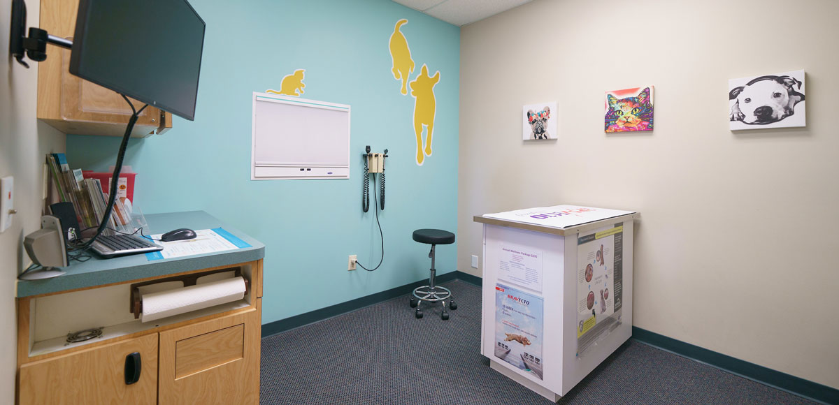 The Ridge Veterinary Clinic - exam room