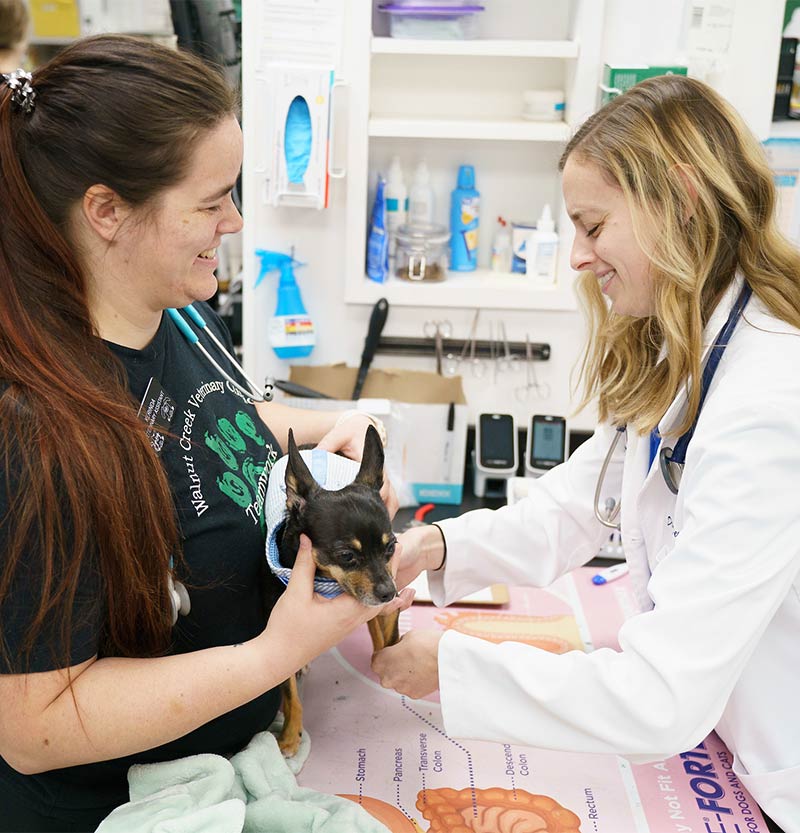 Walnut Creek Veterinary Clinic, Omaha