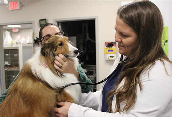 OVG Urgent Care