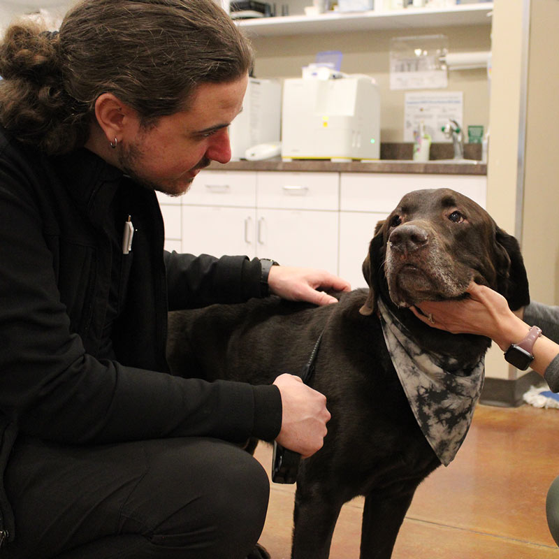 Valley Animal Hospital