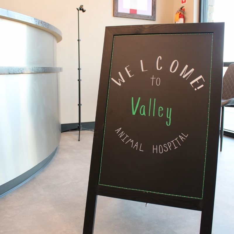 Welcome to Valley Animal Hospital