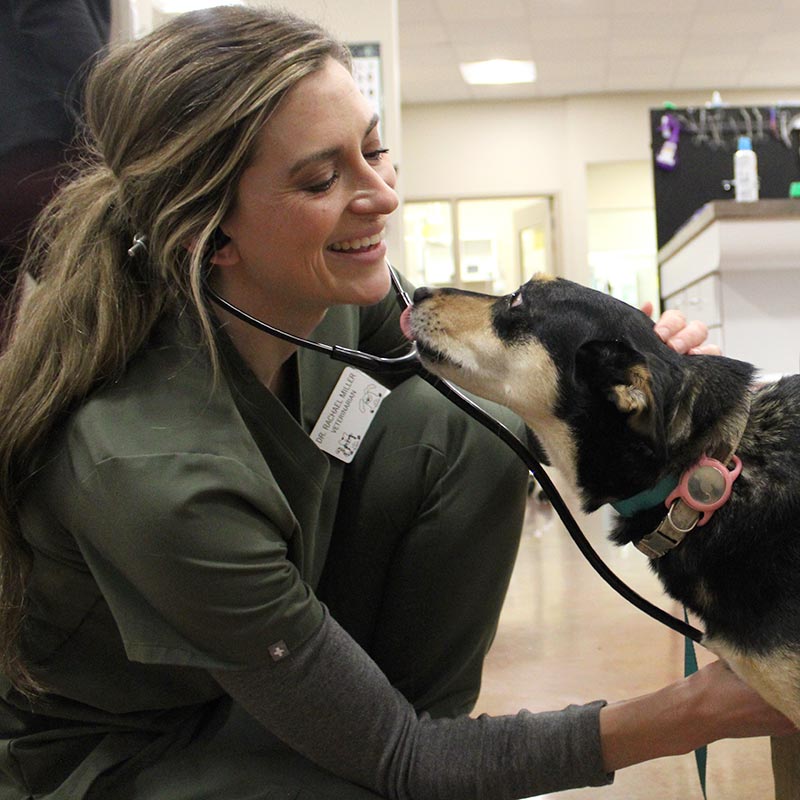 Valley Animal Hospital, Valley, NE