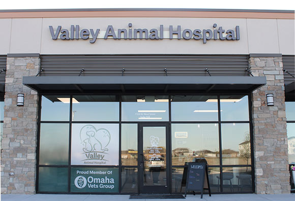 Valley Animal Hospital