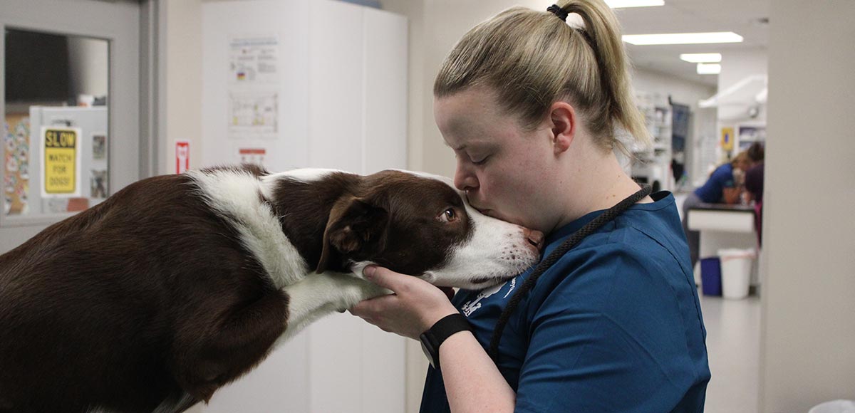 Aspen Creek Vet Clinic Team
